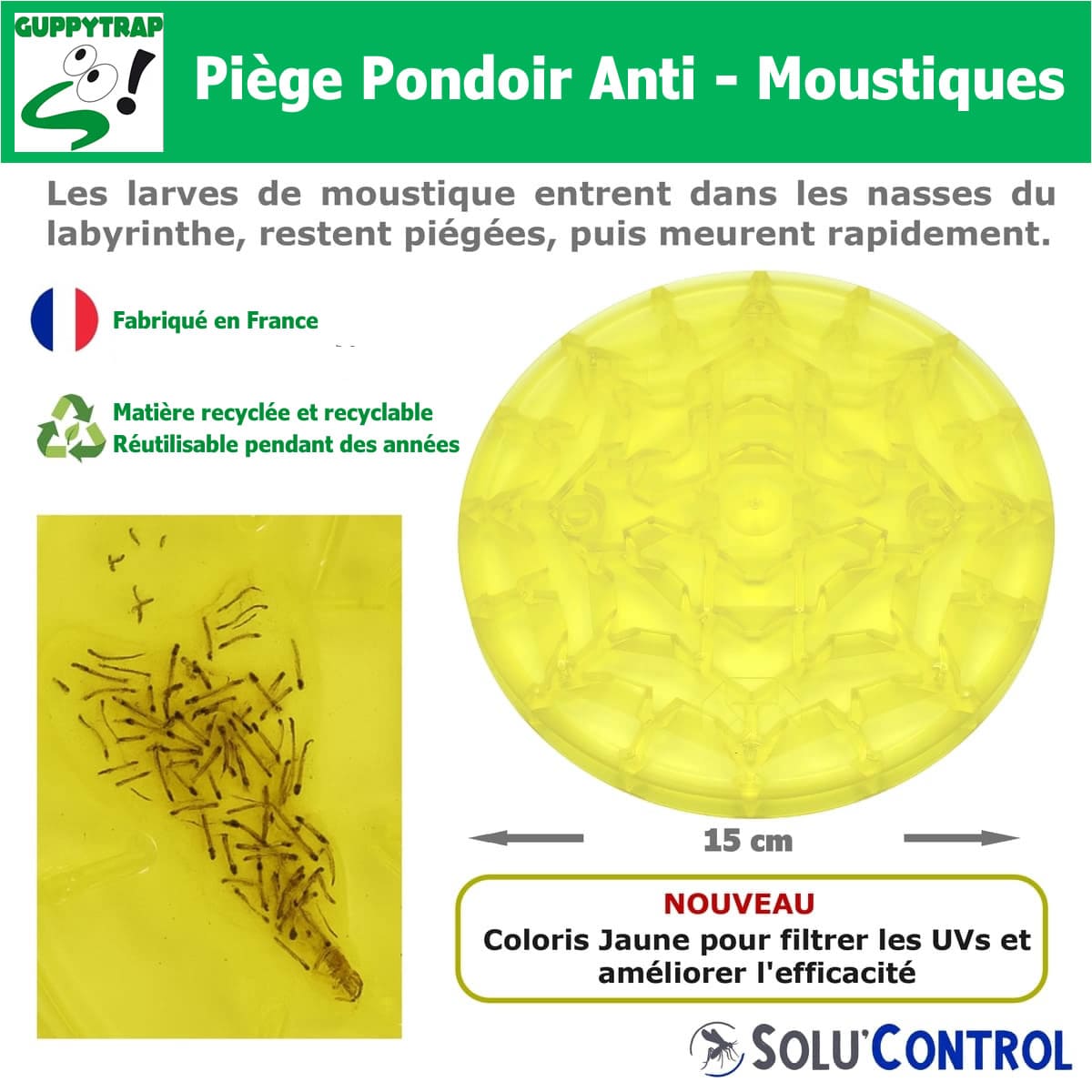 GuppyTrap, piège pondoir écologique contre les larves de moustiques